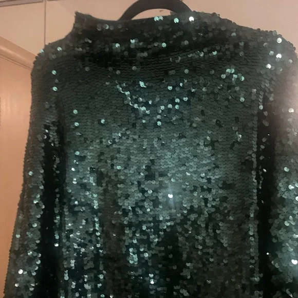 Anthropologie Alani Cashmere Mock Neck Sweater Sequin Ed EMERALD GREEN Sz XL NWT - Picture 12 of 14